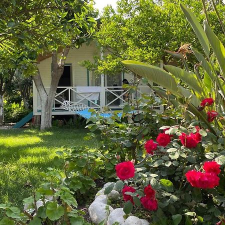 Bellerofon Beach Otel Çıralı Εξωτερικό φωτογραφία