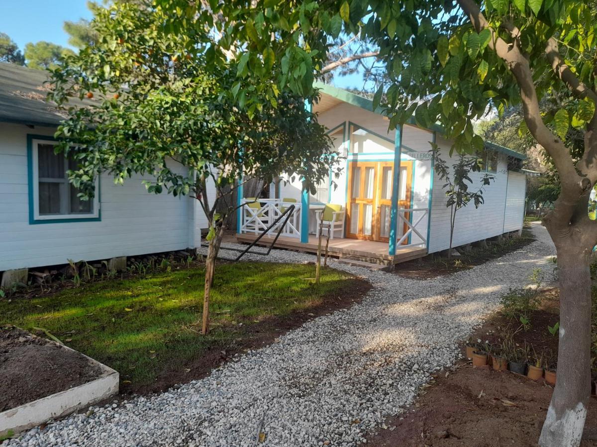 Bellerofon Beach Otel Çıralı Εξωτερικό φωτογραφία