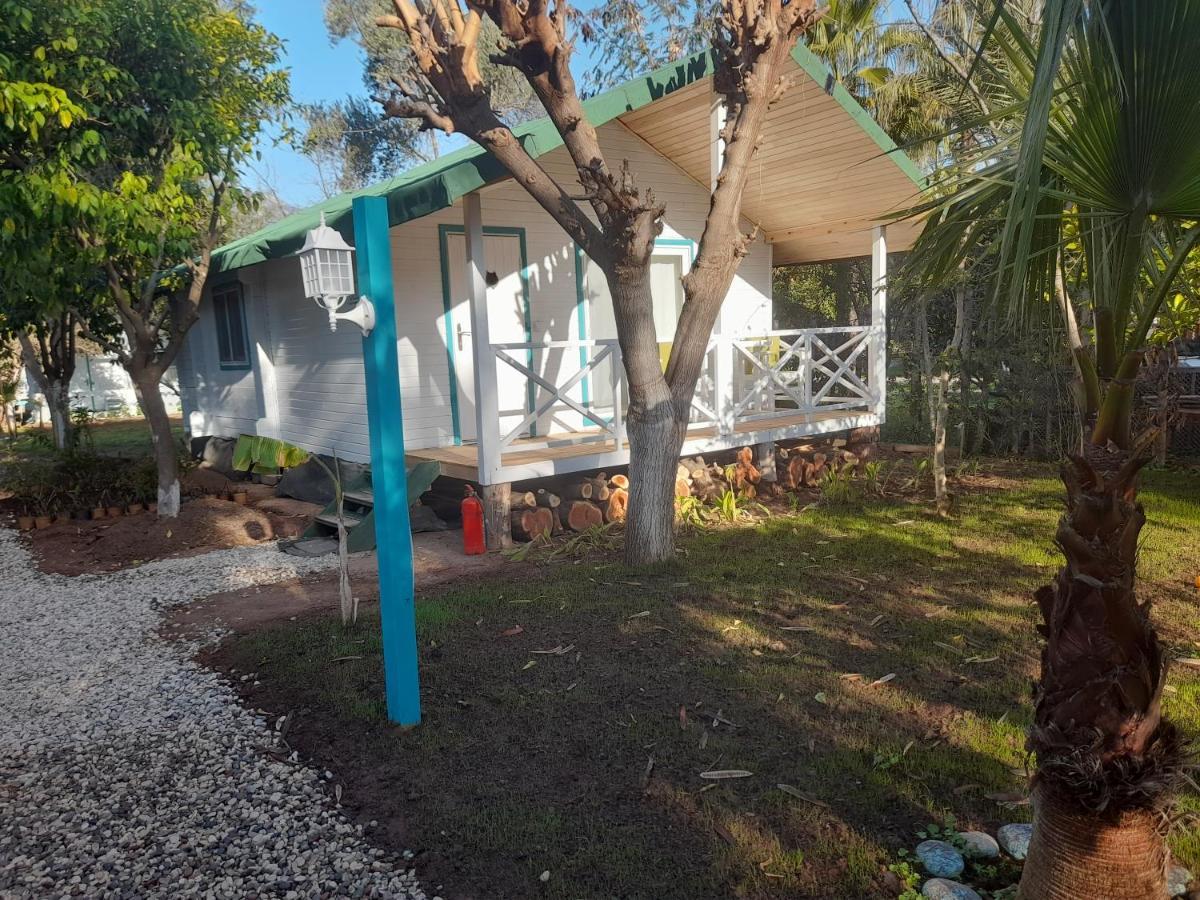Bellerofon Beach Otel Çıralı Εξωτερικό φωτογραφία