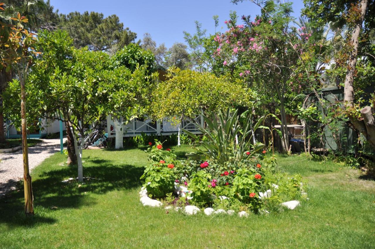 Bellerofon Beach Otel Çıralı Εξωτερικό φωτογραφία