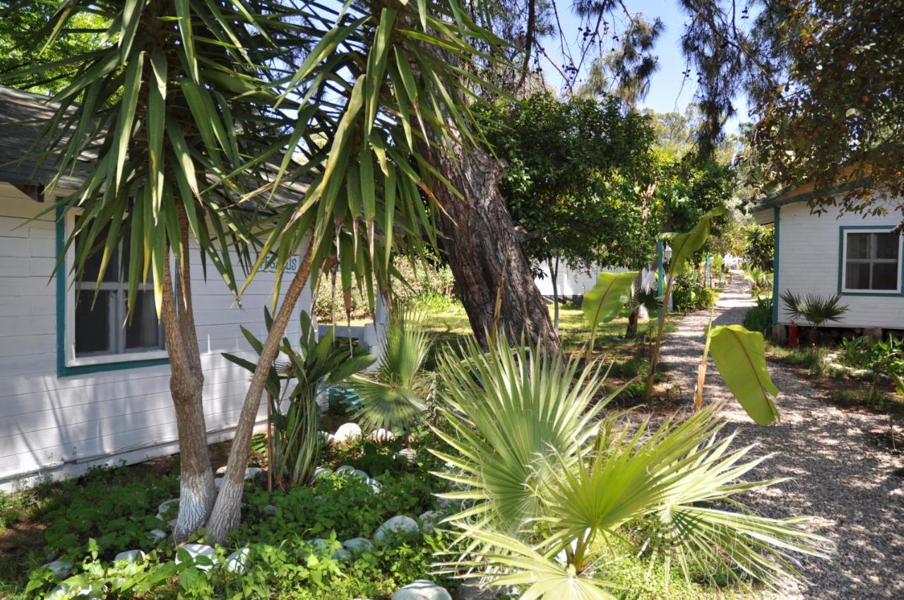 Bellerofon Beach Otel Çıralı Εξωτερικό φωτογραφία