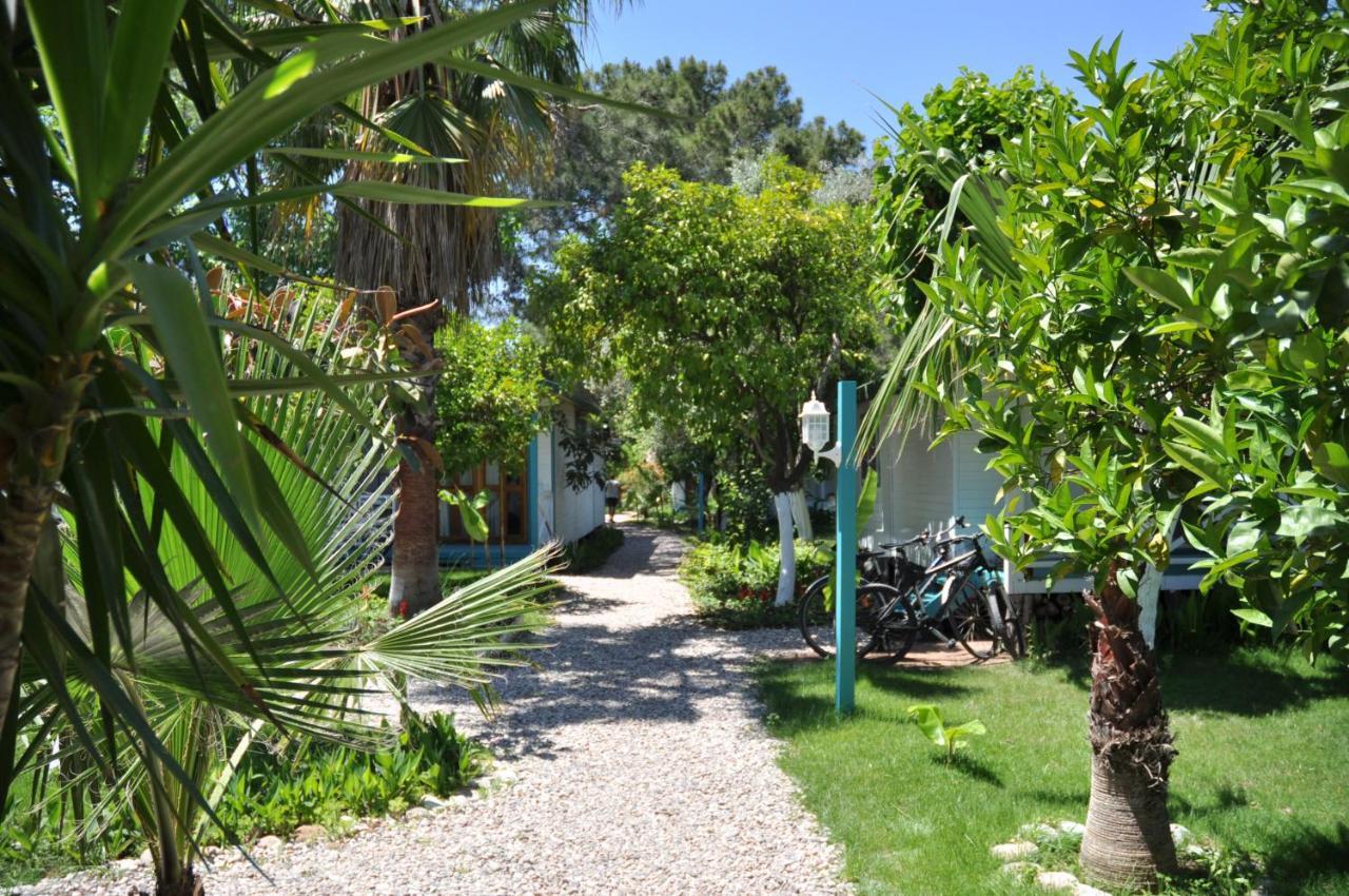 Bellerofon Beach Otel Çıralı Εξωτερικό φωτογραφία