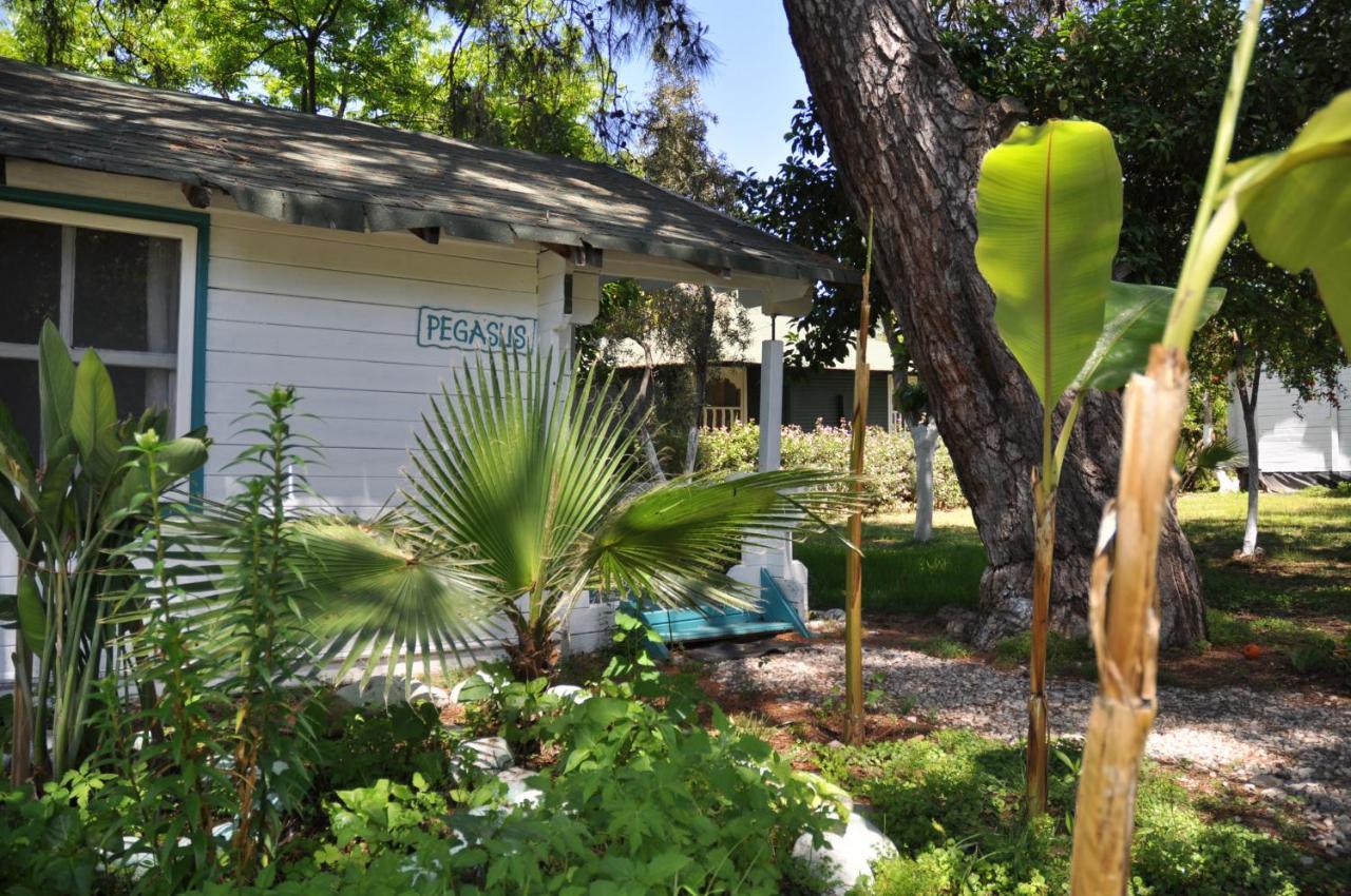 Bellerofon Beach Otel Çıralı Εξωτερικό φωτογραφία