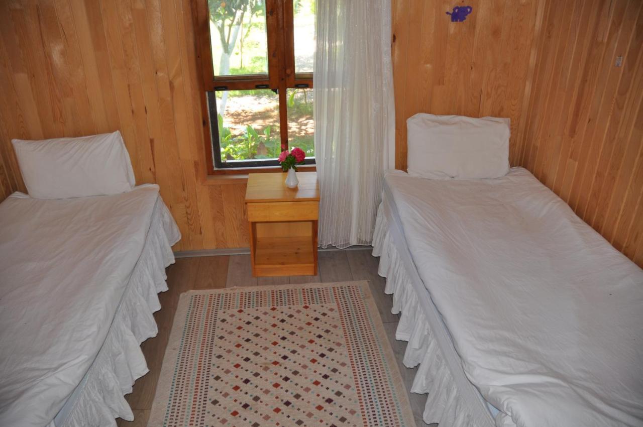 Bellerofon Beach Otel Çıralı Εξωτερικό φωτογραφία