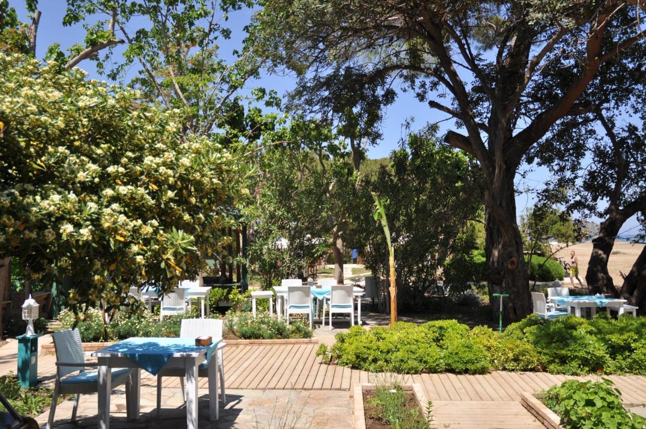 Bellerofon Beach Otel Çıralı Εξωτερικό φωτογραφία