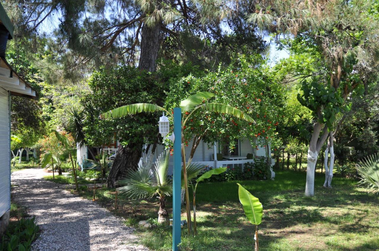 Bellerofon Beach Otel Çıralı Εξωτερικό φωτογραφία