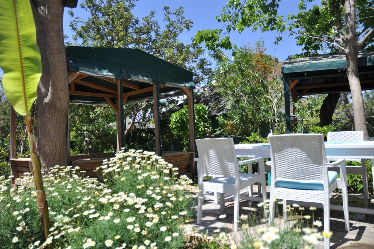 Bellerofon Beach Otel Çıralı Εξωτερικό φωτογραφία