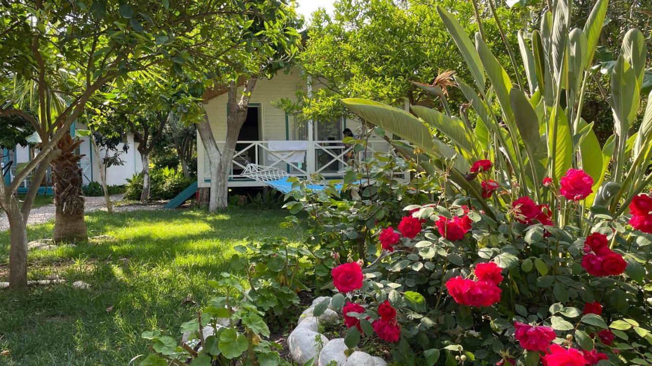 Bellerofon Beach Otel Çıralı Εξωτερικό φωτογραφία