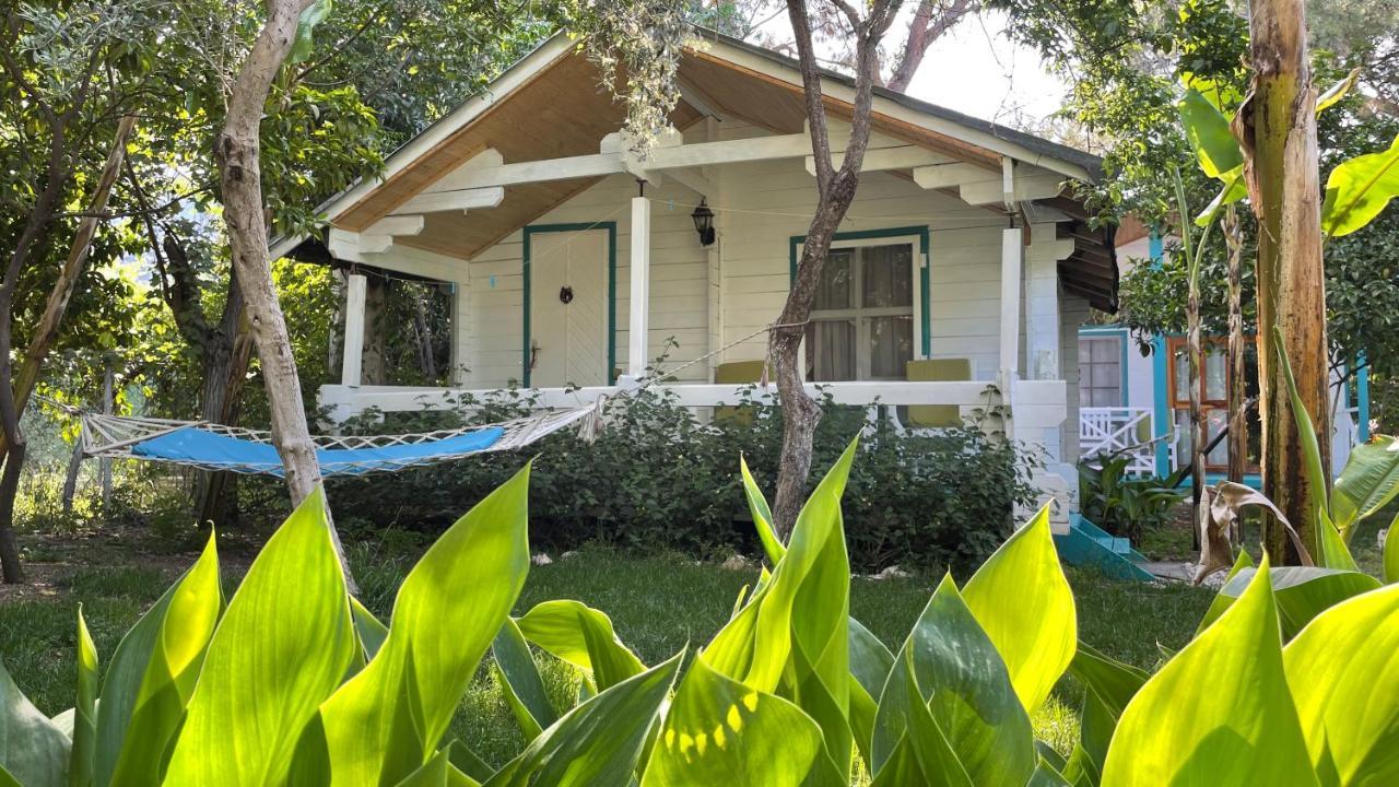 Bellerofon Beach Otel Çıralı Εξωτερικό φωτογραφία