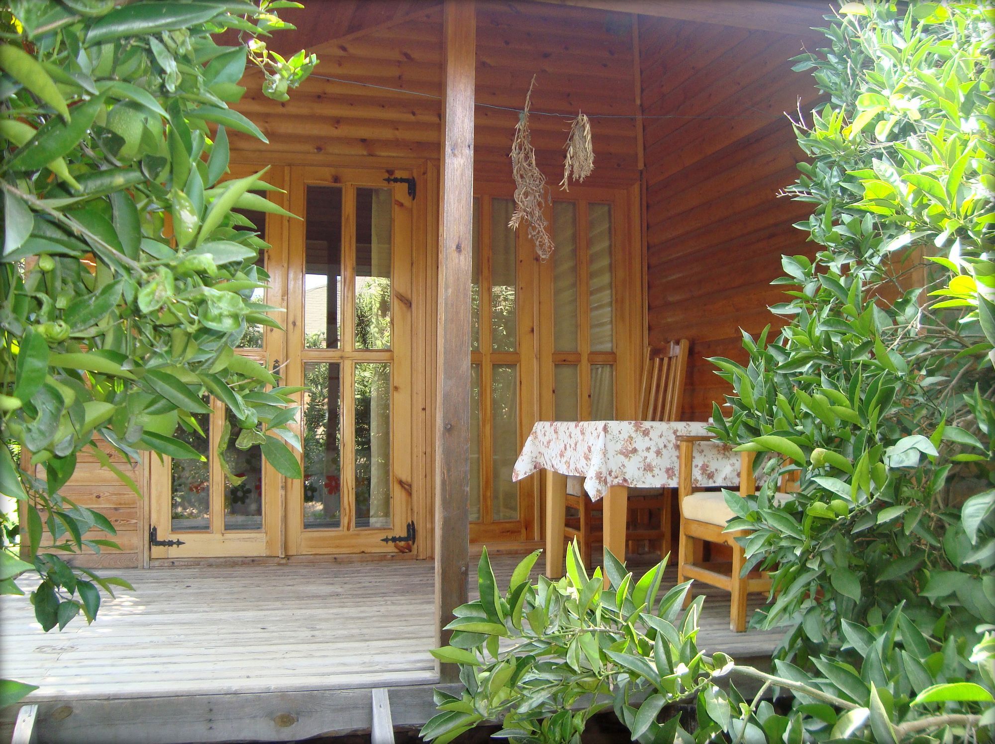 Bellerofon Beach Otel Çıralı Εξωτερικό φωτογραφία